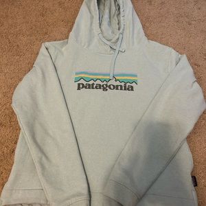 Patagonia Hooded Sweatshirt light blue Unisex Classic Size medium Reg Fit